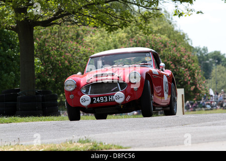 1960 Austin Healey 3000 Mk1 Banque D'Images