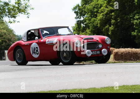 1960 Austin Healey 3000 Mk1 Banque D'Images