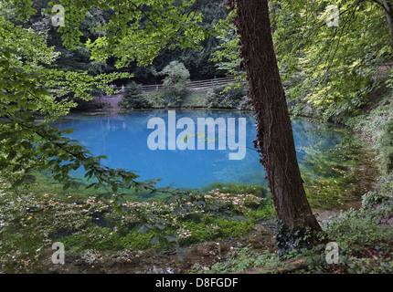 Allemagne, Bade-Wurtemberg, Blaubeuren ; bleu Pot, Deutschland, Bade-Wurtemberg, Blaubeuren ; Blautopf Banque D'Images