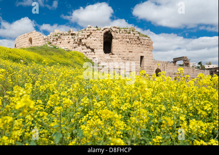 Le théâtre du Nord, Jerash, Jordanie Banque D'Images