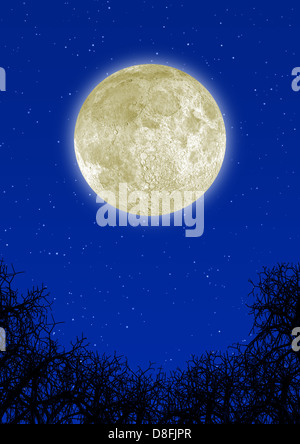 Lune très détaillées Banque D'Images