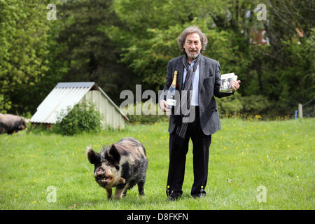 Hay-on-Wye, au Royaume-Uni. 27 mai 2013. Sur la photo : auteur Howard Jacobson lauréat du Prix Bollinger Everyman Wodehouse qui est un prix littéraire de la bande dessinée la littérature, pour son livre, durant le Zoo deux photo-call avec un kune kune-cochon. Re : le Telegraph Hay Festival, Hay on Wye, Powys, Pays de Galles. Credit : D Legakis / Alamy Live News Banque D'Images