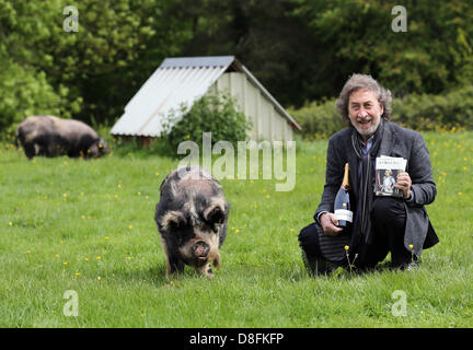 Hay-on-Wye, au Royaume-Uni. 27 mai 2013. Sur la photo : auteur Howard Jacobson lauréat du Prix Bollinger Everyman Wodehouse qui est un prix littéraire de la bande dessinée la littérature, pour son livre, durant le Zoo deux photo-call avec un kune kune-cochon. Re : le Telegraph Hay Festival, Hay on Wye, Powys, Pays de Galles. Credit : D Legakis / Alamy Live News Banque D'Images