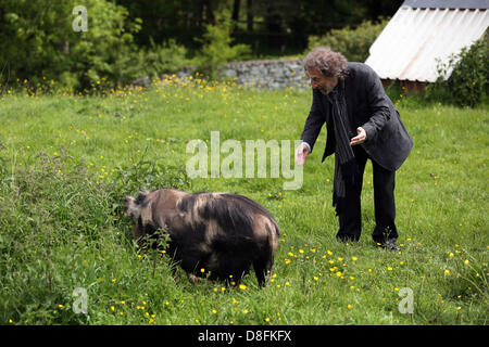 Hay-on-Wye, au Royaume-Uni. 27 mai 2013. Sur la photo : auteur Howard Jacobson lauréat du Prix Bollinger Everyman Wodehouse qui est un prix littéraire de la bande dessinée la littérature, pour son livre, durant le Zoo deux photo-call avec un kune kune-cochon. Re : le Telegraph Hay Festival, Hay on Wye, Powys, Pays de Galles. Credit : D Legakis / Alamy Live News Banque D'Images