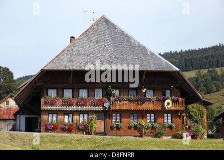 Allemagne, Bade-Wurtemberg, Forêt Noire, Todtmoos Forêt Noire typique ; chambre Deutschland, Bade-Wurtemberg, Schwarzwald, Banque D'Images