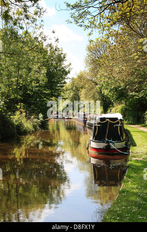 Narrowboats sur le canal près de Oxford Thrupp, dans l'Oxfordshire Banque D'Images