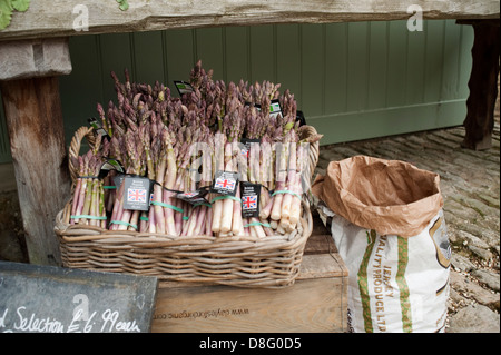 La fête d'été à daylesford organic farmshop à kingham, Gloucestershire, Angleterre, Royaume-Uni. Banque D'Images