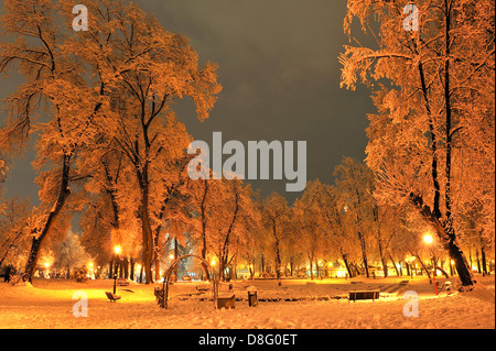 Banc de neige par lanterne et brillant. Photo de nuit. Banque D'Images