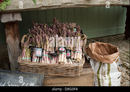 La fête d'été à daylesford organic farmshop à kingham, Gloucestershire, Angleterre, Royaume-Uni. Banque D'Images