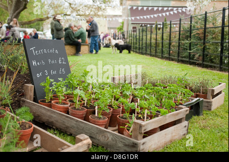 La fête d'été à daylesford organic farmshop à kingham, Gloucestershire, Angleterre, Royaume-Uni. Banque D'Images