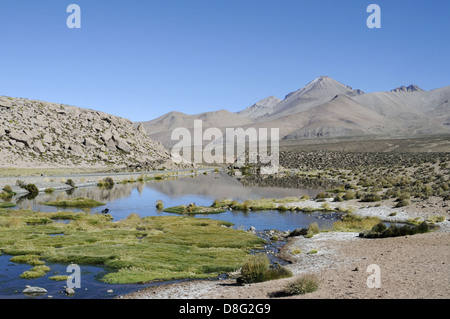 Le parc national de Lauca Banque D'Images