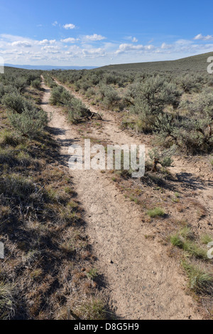 Morceaux de l'historic Oregon Trail, nord-est de l'Oregon. Banque D'Images