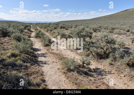 Morceaux de l'historic Oregon Trail, nord-est de l'Oregon. Banque D'Images