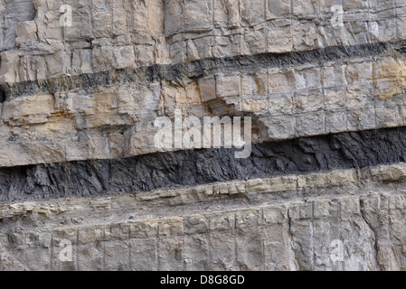 La couche de charbon dans une falaise dans l'Utah. Banque D'Images