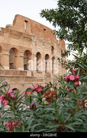 Colisée, Rome, Italie Banque D'Images