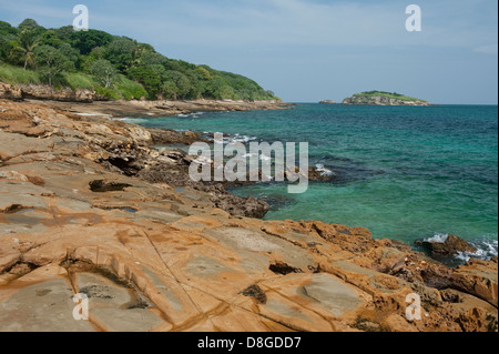 Rivage rocheux à marée basse à Isla Pacheca shore Banque D'Images