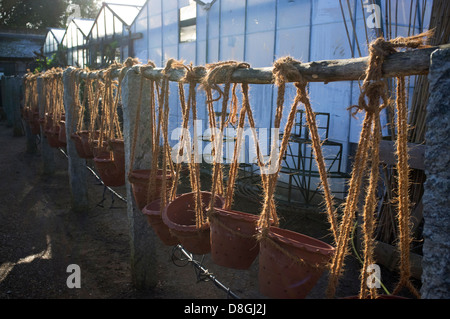 Petersham nurseries, une pépinière, salon de thé et café à Richmond, Surrey, Angleterre, Royaume-Uni. Banque D'Images