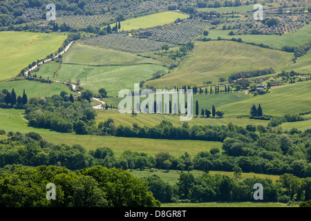 Val d'Orcia, Toscane, Italie Banque D'Images