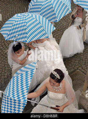 Maintenez les épouses de chinois bleu et blanc bavarois parapluies qu'ils arrivent pour leur mariage dans le musée de la ville de Füssen, Allemagne, 29 mai 2013. Onze des couples provenant de la Chine ont renouvelé leurs vœux de mariage devant un Roi Ludwig II acteur. Photo : STEFAN UDRY Banque D'Images