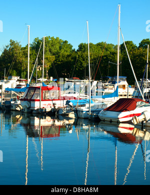 Bateaux à quai dans une marina dans la matinée Banque D'Images