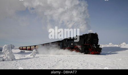 Chemin de fer à voie étroite dans la forêt de glace Banque D'Images