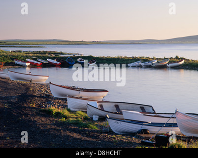 Petits bateaux de pêche tiré sur le rivage éclairé par un soleil de juin, le Loch d'Harray, Shetlands, Orcades, en Écosse continentale Banque D'Images