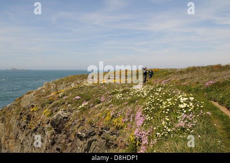 Les promeneurs sur le chemin de la côte du Pembrokeshire, près de St Justinians au printemps au Pays de Galles Cymru UK GO Banque D'Images