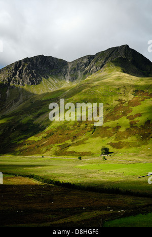 Foel Goch, Y Garn, gamme Glyderau, parc national de Snowdonia, Pays de Galles, Grande-Bretagne, Royaume-Uni, Cymru Banque D'Images