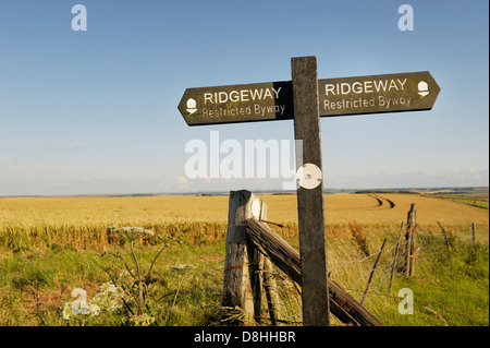 Le Ridgeway. Inscrivez-vous sur 5000 ans chemin longue distance vu entre Château et Uffington Wayland's Smithy. Oxfordshire, Angleterre Banque D'Images