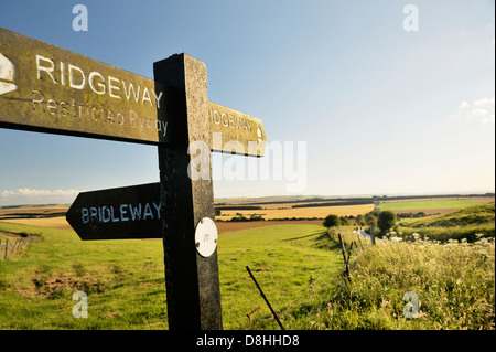 Le Ridgeway. Inscrivez-vous sur 5000 ans chemin longue distance vu entre Château et Uffington Wayland's Smithy. Oxfordshire, Angleterre Banque D'Images