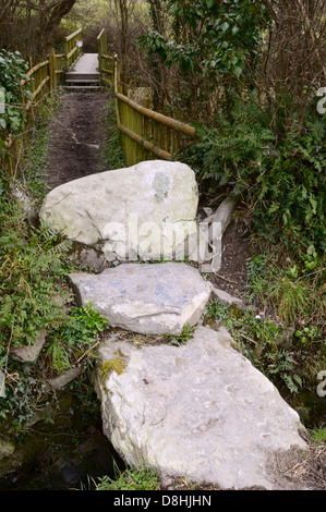 De grandes dalles de pierres naturelles formant un petit pont, étapes et montant sur une section du sentier public, llanrhystud, Pays de Galles, Royaume-Uni Banque D'Images