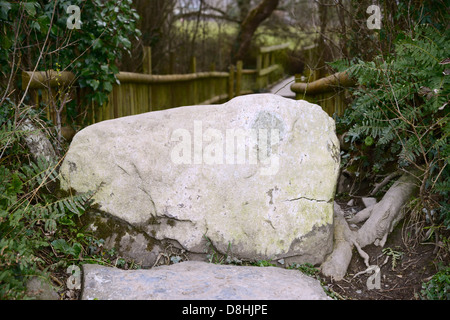 De grandes dalles de pierres naturelles formant un stile sur une section de sentier public, llanrhystud, Pays de Galles, Royaume-Uni Banque D'Images