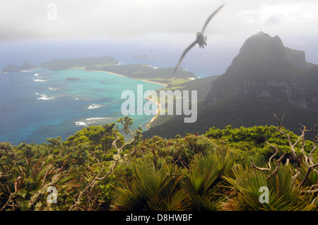 Voir à travers les nuages du sommet du Mont Gower au lagon de l'île Lord Howe, avec la providence floue par vol pétrel Banque D'Images