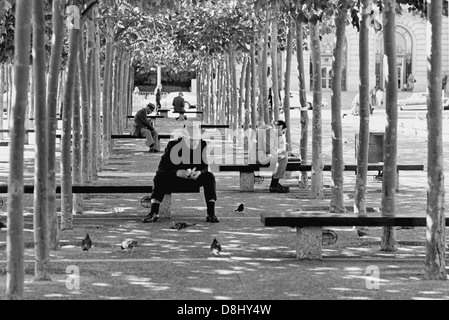 vieil homme âgé assis sur le banc du parc pour nourrir les pigeons centre civique san francisco usa à la fin des années 1960 Banque D'Images