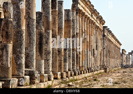 Pompey fait Apamée (Apameia) ou Afamia (Arabe) partie de l'Empire romain en Syrie. Cardo Maximus rue avec des colonnes. Banque D'Images