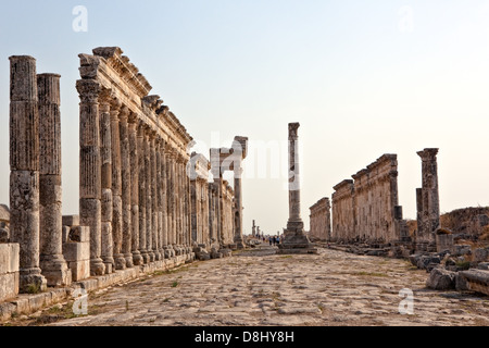 Pompey fait Apamée (Apameia) ou Afamia (Arabe) partie de l'Empire romain en Syrie. Cardo Maximus rue avec des colonnes. Banque D'Images