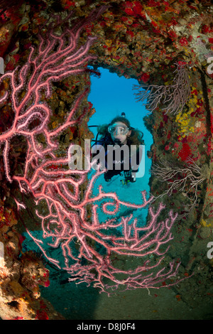 Une femme-plongeur explore une épave près de Fort Lauderdale, Floride Banque D'Images