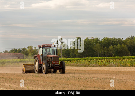 Tracteur, vignes, près de Cognac, Charente Maritime, France Banque D'Images