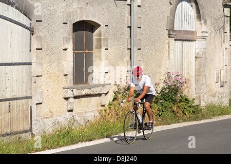 Les cyclistes sur route de campagne près de Cognac, Charentes Maritime, France Banque D'Images