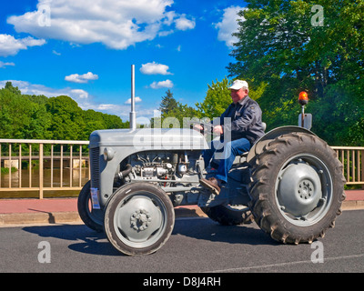 Agriculteurs français ancien conduite tracteur Ferguson Gris sur 'Retro-Méchanique" - France. Banque D'Images