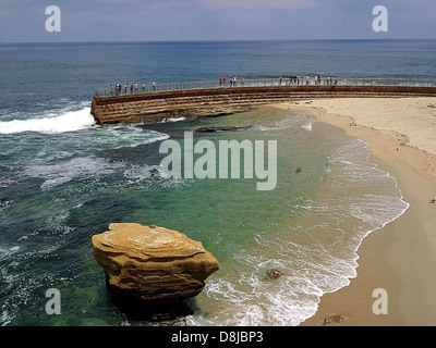 Un petit groupe de phoques reposant sur des rochers dans une crique côtière. Les phoques se prélassent dans la lumière du soleil, prenant dans les environs paisibles de la crique et de l'eau à proximité. Banque D'Images