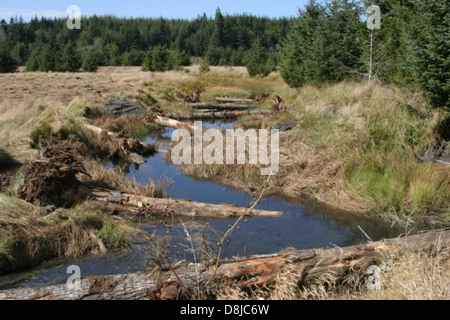 Les grosses billes placées dans la redd ruisseau fournira l'habitat du poisson. Banque D'Images