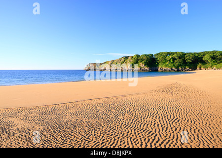 Barafundle Bay Pembrokeshire Wales Pembroke Banque D'Images