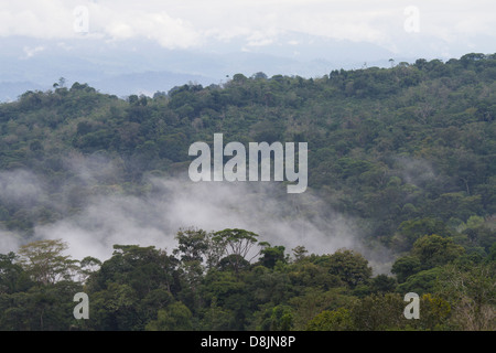 Forêt de nuages, Valle Central, Highlands, Costa Rica Banque D'Images