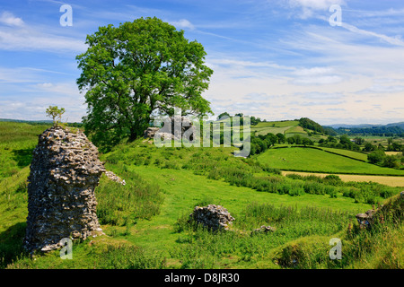 Campagne à Dryslwyn Towy Valley près de Llandeilo Carmarthenshire Wales Banque D'Images