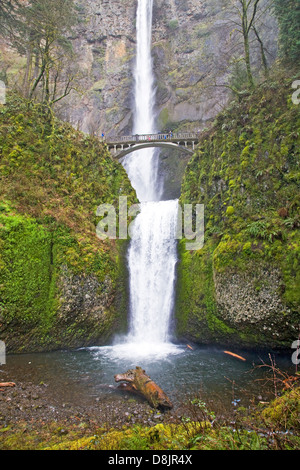 Multnomah Falls, dans la gorge du Columbia, dans le nord de l'Oregon Banque D'Images