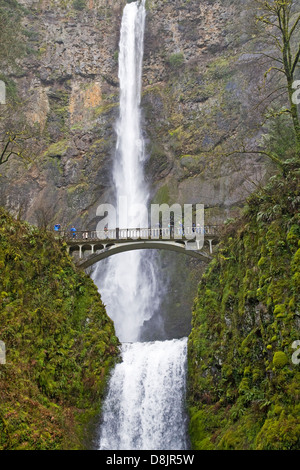 Multnomah Falls, dans la gorge du Columbia, dans le nord de l'Oregon Banque D'Images