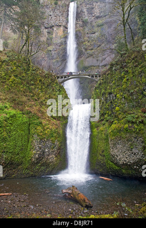 Multnomah Falls, dans la gorge du Columbia, dans le nord de l'Oregon Banque D'Images