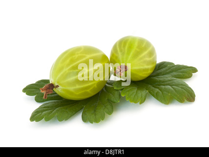 Groseilles isolé sur fond blanc Banque D'Images