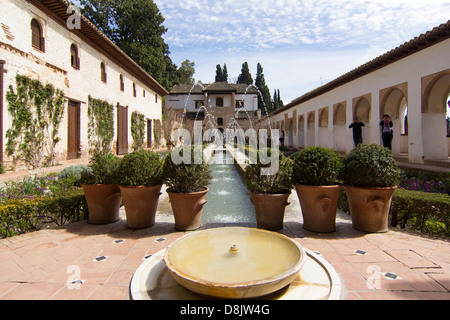 Fontaines et jardin d'ornement dans l'Alhambra. Le Patio de la Acequia, Generalife, l'Alhambra, Grenade, Espagne Banque D'Images